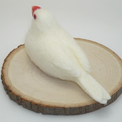 [Ｔ様専用] 白文鳥と桜文鳥 / 羊毛フェルト リアルサイズ 7枚目の画像