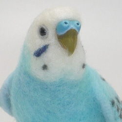 本トリ No.80 セキセイインコ ブルー オパーリン / 羊毛フェルト