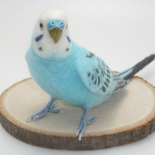 本トリ No.80 セキセイインコ ブルー オパーリン / 羊毛フェルト