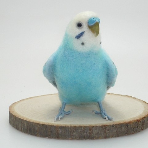 羊毛フェルト　セキセイインコ オーダーセキセイインコちゃんの制作過程です🦜 長編はYouTubeに