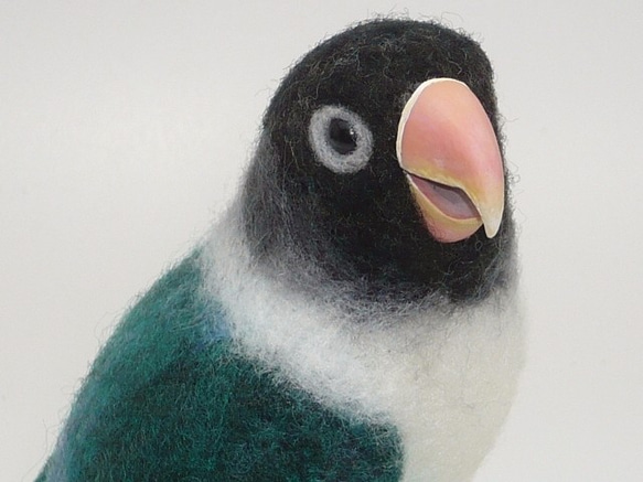 専用ページ　羊毛フェルト　傘でお出かけボタンインコ　鳥 ボタンインコ . おめめのアイリングがチャームポイント