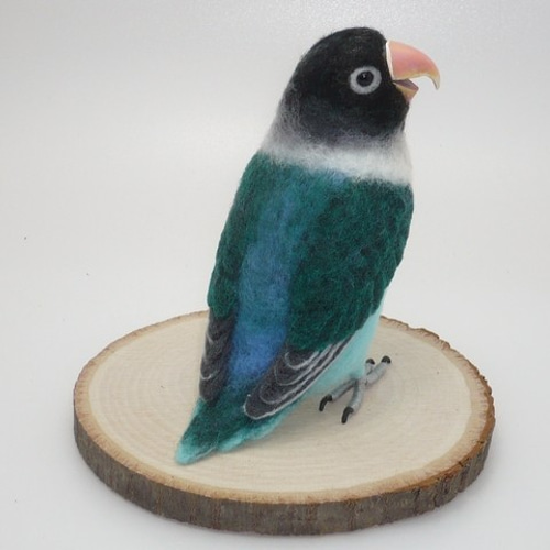 本トリ No.81 ブルーボタンインコ / 羊毛フェルト リアルサイズ 羊毛