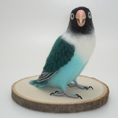 本トリ No.81 ブルーボタンインコ / 羊毛フェルト リアルサイズ