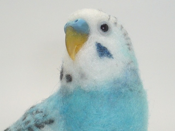 [Ｐ様専用] セキセイインコ ホワイトハルクイン / 羊毛フェルト リアルサイズ 1枚目の画像