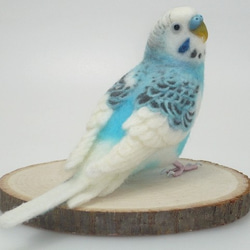 [Ｐ様専用] セキセイインコ ホワイトハルクイン / 羊毛フェルト リアルサイズ 3枚目の画像