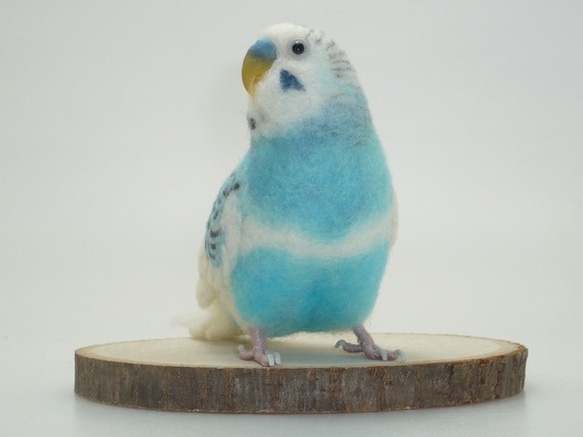 [Ｐ様専用] セキセイインコ ホワイトハルクイン / 羊毛フェルト リアルサイズ 5枚目の画像