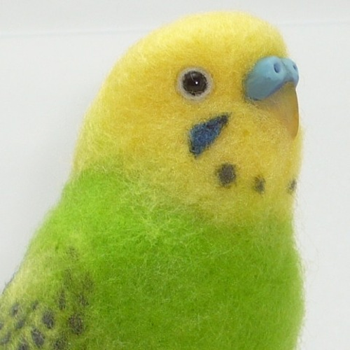 本トリ No.82 セキセイインコ グリーンオパーリン（止まり木付き