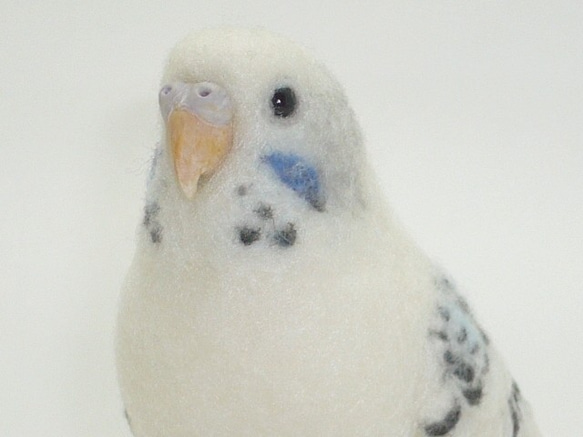 [Ｙ様専用] セキセイインコ ホワイトハルクイン / 羊毛フェルト リアルサイズ 1枚目の画像