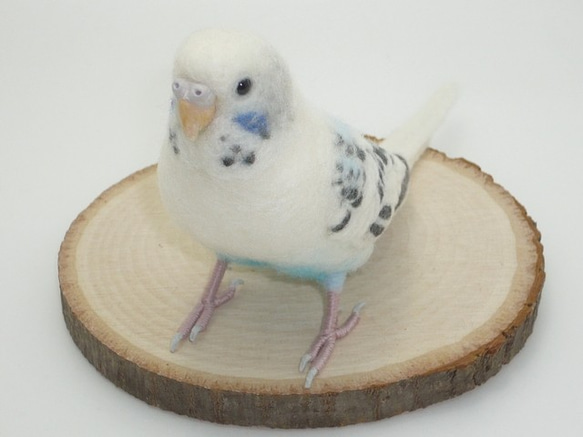 [Ｙ様専用] セキセイインコ ホワイトハルクイン / 羊毛フェルト リアルサイズ 2枚目の画像