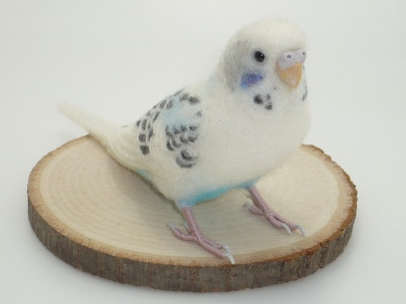 [Ｙ様専用] セキセイインコ ホワイトハルクイン / 羊毛フェルト リアルサイズ 3枚目の画像