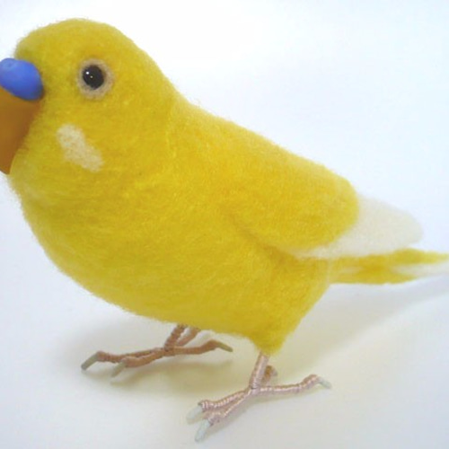 本トリ No.09 セキセイインコ ルチノー ブラックアイ 羊毛フェルト