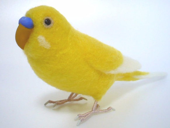 羊毛フェルト まんまるルチノーちゃん（赤目） マット付き セキセイ