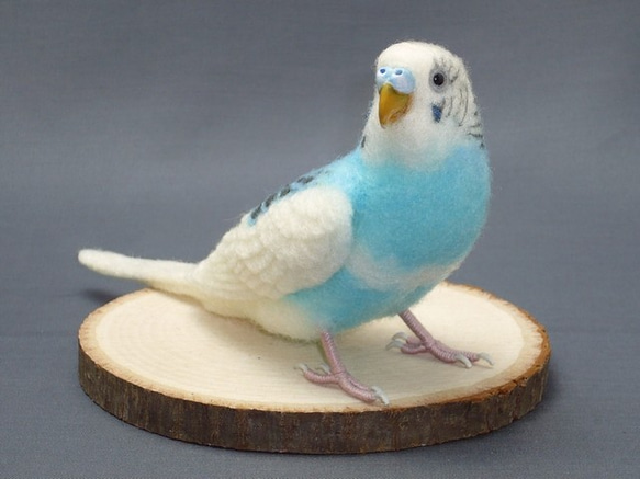 [Ｍ様専用] セキセイインコ ブルーパイド / 羊毛フェルト リアルサイズ 2枚目の画像