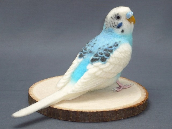 [Ｍ様専用] セキセイインコ ブルーパイド / 羊毛フェルト リアルサイズ 3枚目の画像