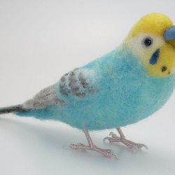 [オーダー品] セキセイインコ パステルカラー レインボー 4枚目の画像