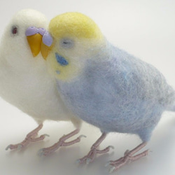 オーダー品] セキセイインコ 羊毛フェルト おもにとり 通販 2031797