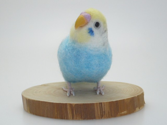 [オーダー品] セキセイインコ パステルカラー レインボー 5枚目の画像