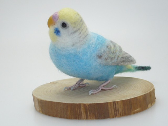 [オーダー品] セキセイインコ パステルカラー レインボー 6枚目の画像