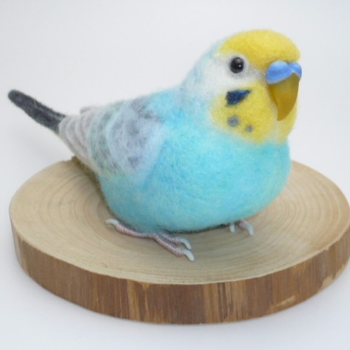 羊毛フェルト☆インコ達の飾り棚☆6羽 羊毛フェルト☆インコ達の飾り棚☆6羽 羊毛フェルト☆インコ達の
