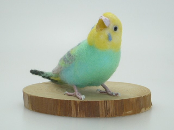 [オーダー品] セキセイインコ パステルカラー レインボー 5枚目の画像