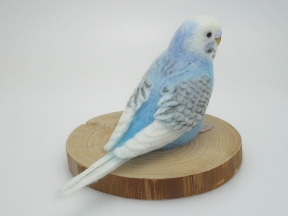 [オーダー品] セキセイインコ スパングル 2枚目の画像