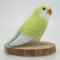 オーダー品] コザクラインコ クリームゴールデン ／ 羊毛フェルト