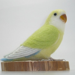 [オーダー品] コザクラインコ クリームゴールデン ／ 羊毛フェルト リアルサイズ 5枚目の画像