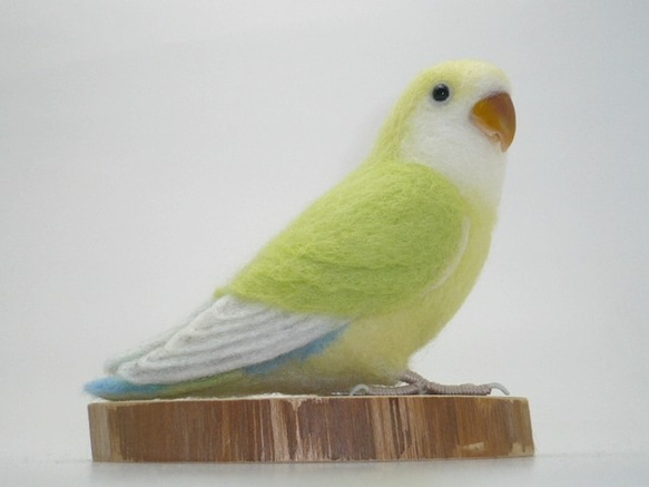 [オーダー品] コザクラインコ クリームゴールデン ／ 羊毛フェルト リアルサイズ 5枚目の画像