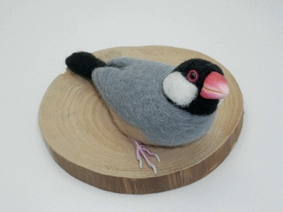 本トリ No.65 桜文鳥 9号 / 羊毛フェルト リアルサイズ 羊毛フェルト