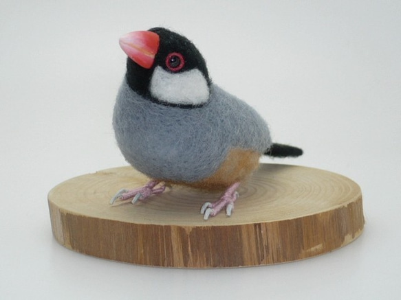 本トリ No.66 桜文鳥 10号 / 羊毛フェルト リアルサイズ 羊毛