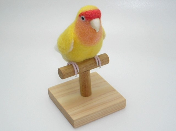 本トリ No.68 コザクラインコ ゴールデンチェリー / 羊毛フェルト リアルサイズ 2枚目の画像