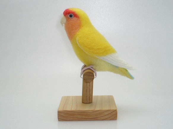 本トリ No.68 コザクラインコ ゴールデンチェリー / 羊毛フェルト リアルサイズ 3枚目の画像