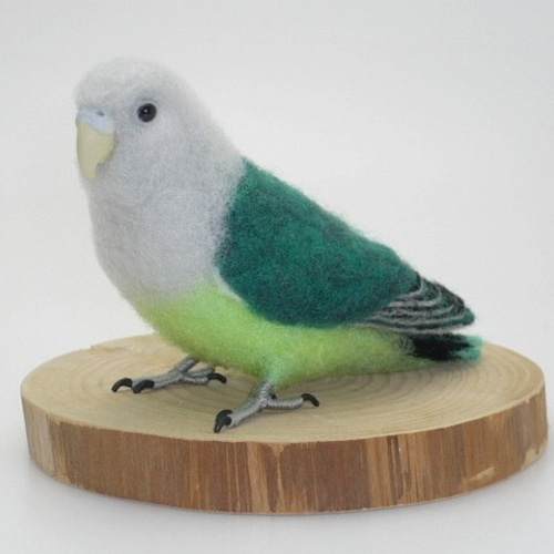 本トリ No.69 カルカヤインコ / 羊毛フェルト リアルサイズ 羊毛