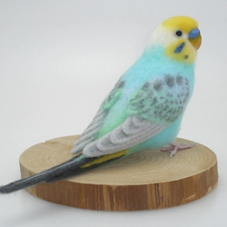 本トリ No.70 セキセイインコ パステルカラー レインボー / 羊毛フェルト リアルサイズ 2枚目の画像