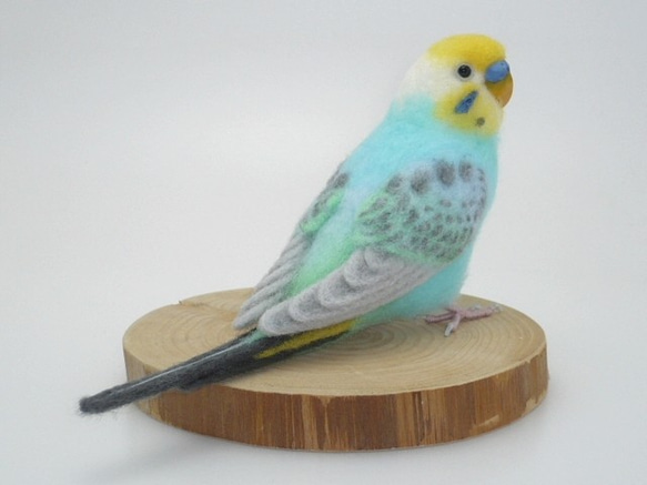 本トリ No.70 セキセイインコ パステルカラー レインボー / 羊毛フェルト リアルサイズ 2枚目の画像