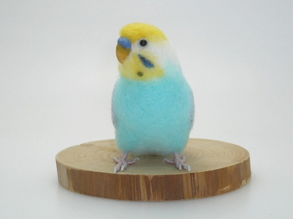 本トリ No.70 セキセイインコ パステルカラー レインボー / 羊毛フェルト リアルサイズ 3枚目の画像