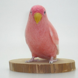 本トリ No.72 コザクラインコ ピンク / 羊毛フェルト リアルサイズ 3枚目の画像