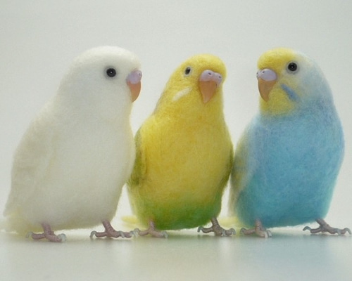 オーダー品] セキセイインコ3種 / 羊毛フェルト リアルサイズ