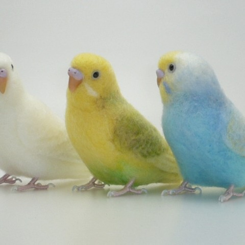 オーダー品] セキセイインコ3種 / 羊毛フェルト リアルサイズ