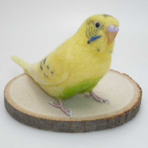 オーダー品] セキセイインコ イエローハルクイン / 羊毛フェルト 