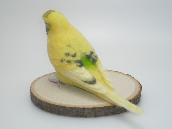 [オーダー品] セキセイインコ イエローハルクイン / 羊毛フェルト リアルサイズ 3枚目の画像