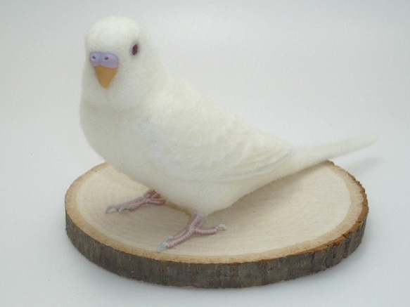 セキセイインコ アルビノ3号 / 羊毛フェルト リアルサイズ 羊毛