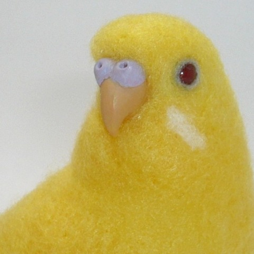 羊毛フェルト インコちゃんオーダーページ ① 1名様募集】羊毛フェルト
