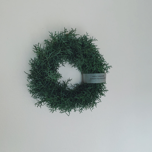 グリーンホワイトのクリスマスリース　シャリンバイ　ブルーアイス ブルーアイスのホワイトクリスマス リース sou-moku 通販 14877403