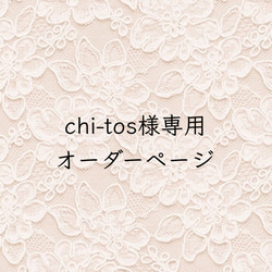 chi-tos様専用　オーダーページ  ２点セット　ファスナーポーチ 1枚目の画像