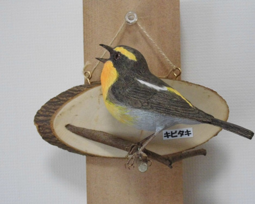 0_3779daf2aadf1fc277c1fbd49b67