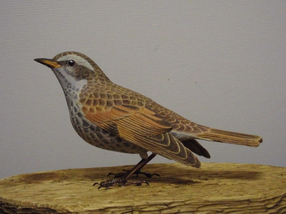 ミソサザイ その2 バードカービング(Bird Carving) 野鳥彫刻 ミソサザイ その2 バードカービング(Bird Carving) 野鳥彫刻