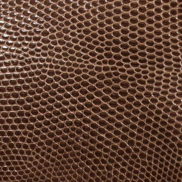 リザード iPhone用 ケース【モカブラウン】iPhone各種対応 受注生産 受注生産 Cut Type