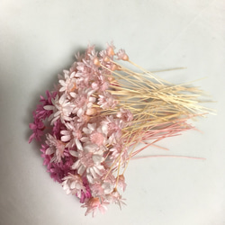 スターフラワーブロッサム 2色ピンクセットハーバリウム レジン 花材 2枚目の画像