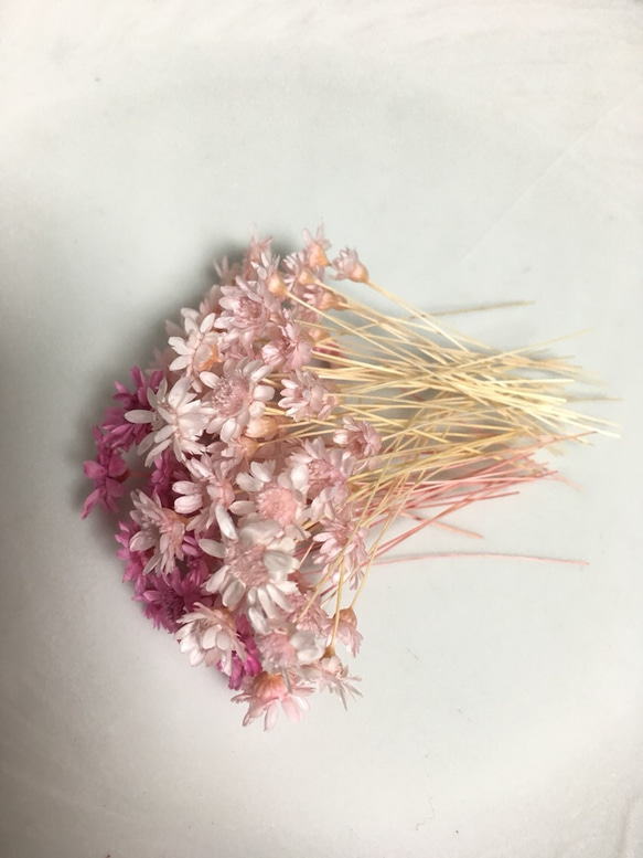 スターフラワーブロッサム 2色ピンクセットハーバリウム レジン 花材 2枚目の画像